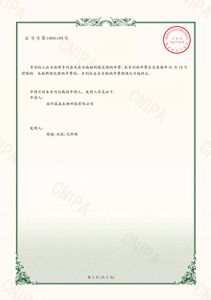 一种Y形过滤机构2